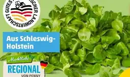 PENNY Marktliebe Regional Feldsalat Angebot