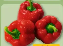 REWE Center Rote Paprika Angebot