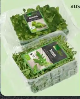 Edeka Edeka Bio Rucola Angebot