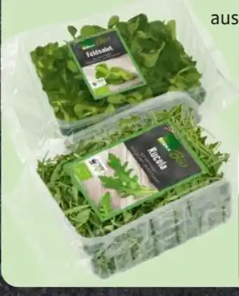 Edeka Edeka Bio Rucola Angebot