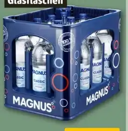 REWE Center Magnus Mineralwasser Angebot