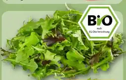 REWE Rewe Bio Crispy Salatmix Angebot