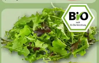 REWE Rewe Bio Crispy Salatmix Angebot