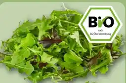 REWE Center Rewe Bio Crispy Salatmix Angebot