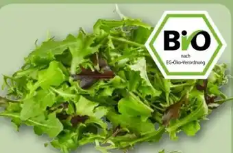 REWE Center Rewe Bio Crispy Salatmix Angebot