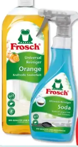 Budni Frosch Orangen Universal Reiniger Angebot