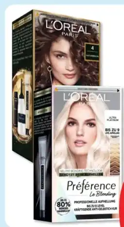 Budni L'Oréal Paris Préférence Coloration Angebot