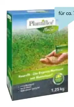 Hellweg Plantiflor Rasennachsaat Rasenfit Express Angebot
