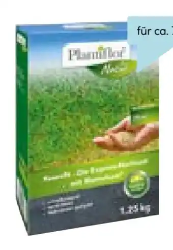 Hellweg Plantiflor Rasennachsaat Rasenfit Express Angebot
