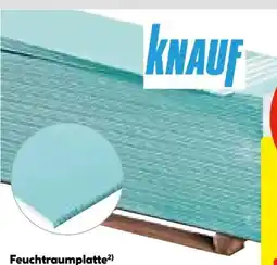 Hellweg Knauf Feuchtraumplatte Angebot