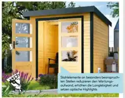 Hellweg Karibu Hybridhaus Jupiter Angebot