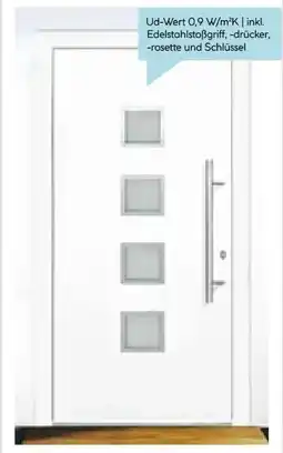 Hellweg Aluminium-Sicherheitshaustür Prestige Angebot