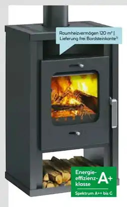 Hellweg Kaminofen Katharina Angebot
