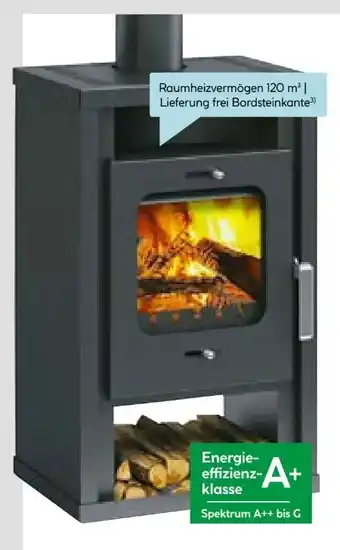 Hellweg Kaminofen Katharina Angebot