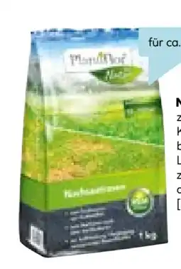 Hellweg Plantiflor Reparatur-Nachsaatrasen Angebot