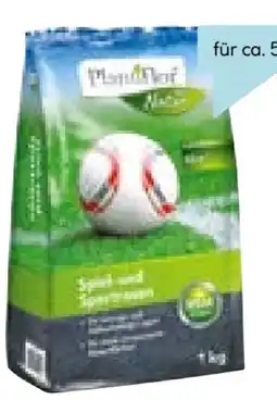 Hellweg Plantiflor Spiel-Sportrasen Angebot