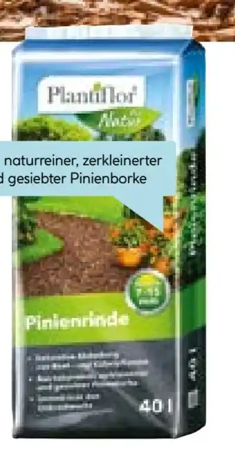 Hellweg Plantiflor Pinienrinde Angebot