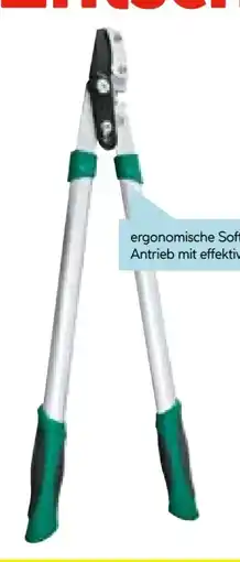 Hellweg Wingart Amboss-Astschere Angebot