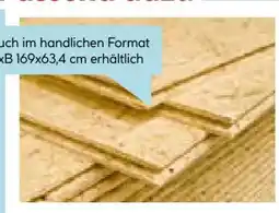 Hellweg OSB 3 EN 300-Verlegeplatte Angebot