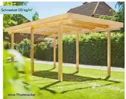 Hellweg Carport Lärche Angebot