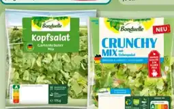 REWE Bonduelle Salate Crunchy Mix Angebot
