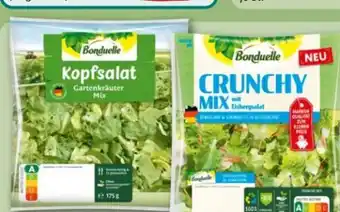 REWE Bonduelle Salate Crunchy Mix Angebot