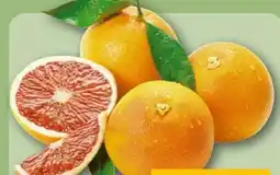REWE Grapefruit Angebot