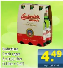 Getränke Arena Budweiser czech lager Angebot