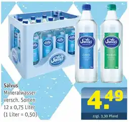 Getränke Arena Salvus mineralwasser Angebot