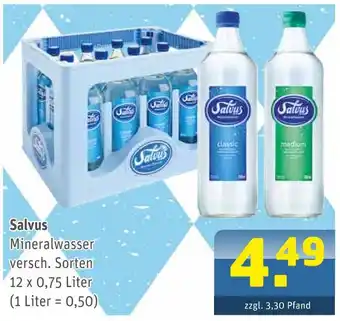 Getränke Arena Salvus mineralwasser Angebot