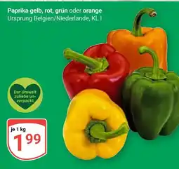 Globus Paprika gelb Angebot