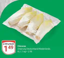 Globus Chicoree Angebot