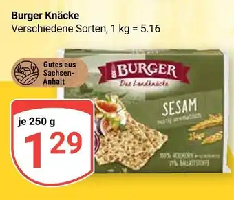 Globus Burger knäcke sesam Angebot