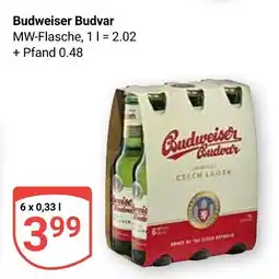 Globus Budweiser budvar czech lager Angebot