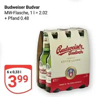 Globus Budweiser budvar czech lager Angebot