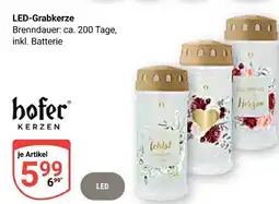 Globus Hofer kerzen led-grabkerze Angebot