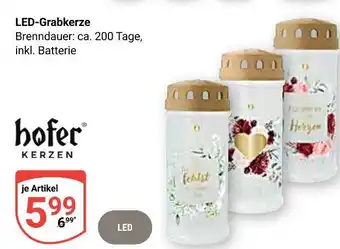 Globus Hofer kerzen led-grabkerze Angebot