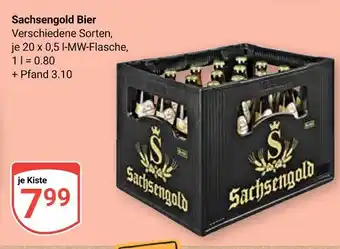 Globus Sachsengold bier Angebot