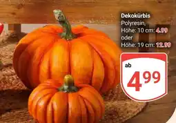 Globus Dekokürbis Angebot