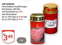 Globus Led-grablicht Angebot