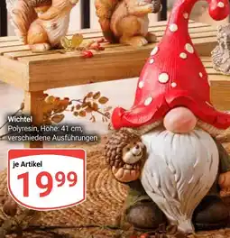 Globus Wichtel Angebot