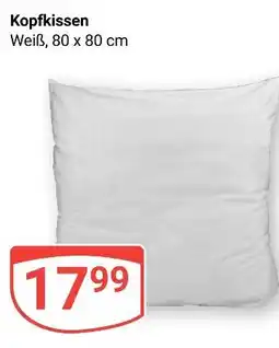 Globus Kopfkissen Angebot