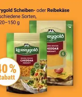 Globus 40 % rabatt Angebot