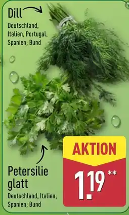 Aldi Nord Dill Angebot