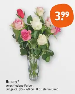 tegut Rosen Angebot