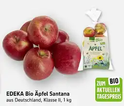 E-Center Edeka bio äpfel santana Angebot