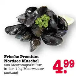E-Center Frische premium nordsee muschel Angebot