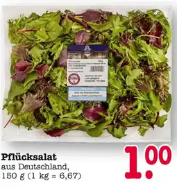 E-Center Pflücksalat Angebot
