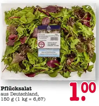 E-Center Pflücksalat Angebot