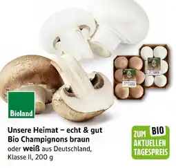 E-Center Unsere heimat − echt & gut bio champignons Angebot